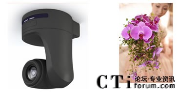 �������^���r��������